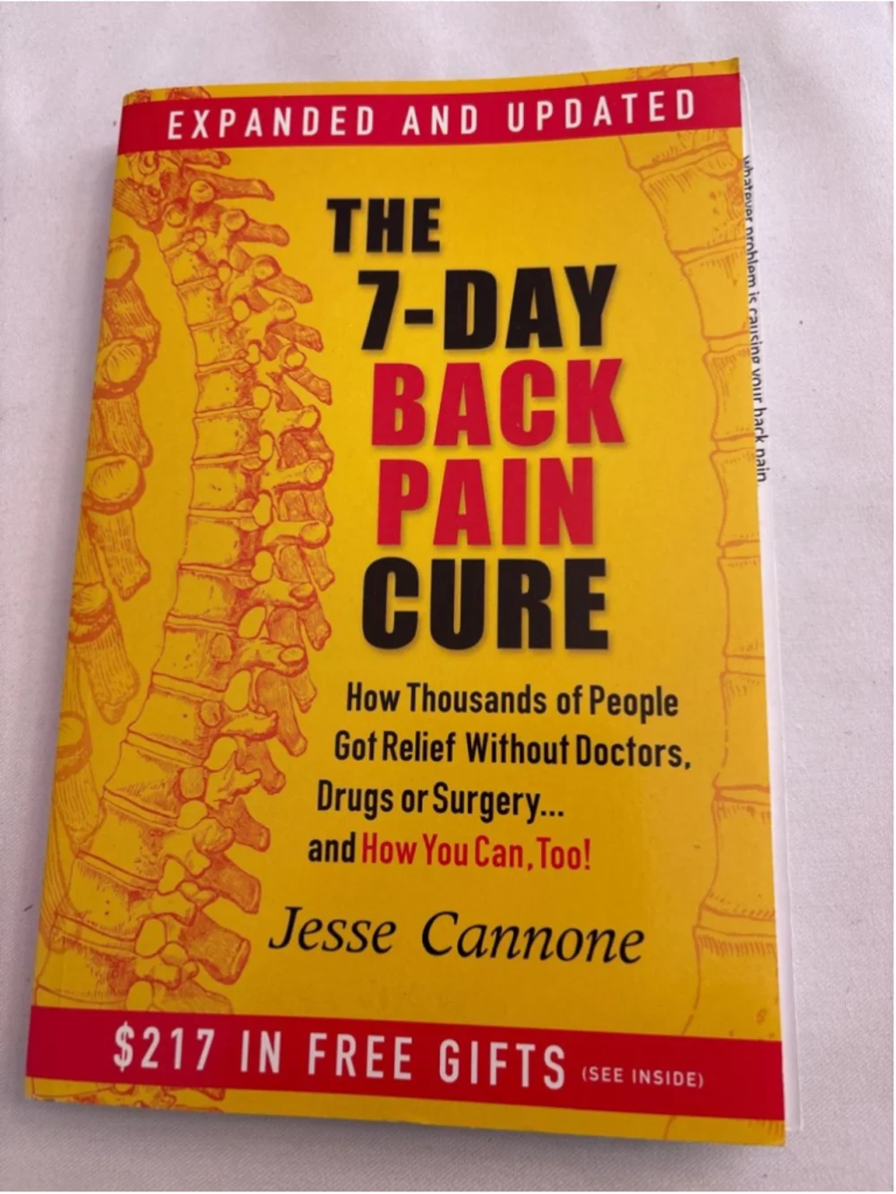 The 7-Day Back Pain Cure by Jesse Cannone Book, #E29